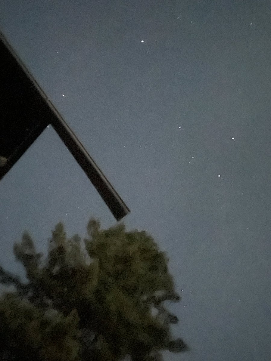 ※

外のアスファルトに
　　　寝っ転がって、月見。