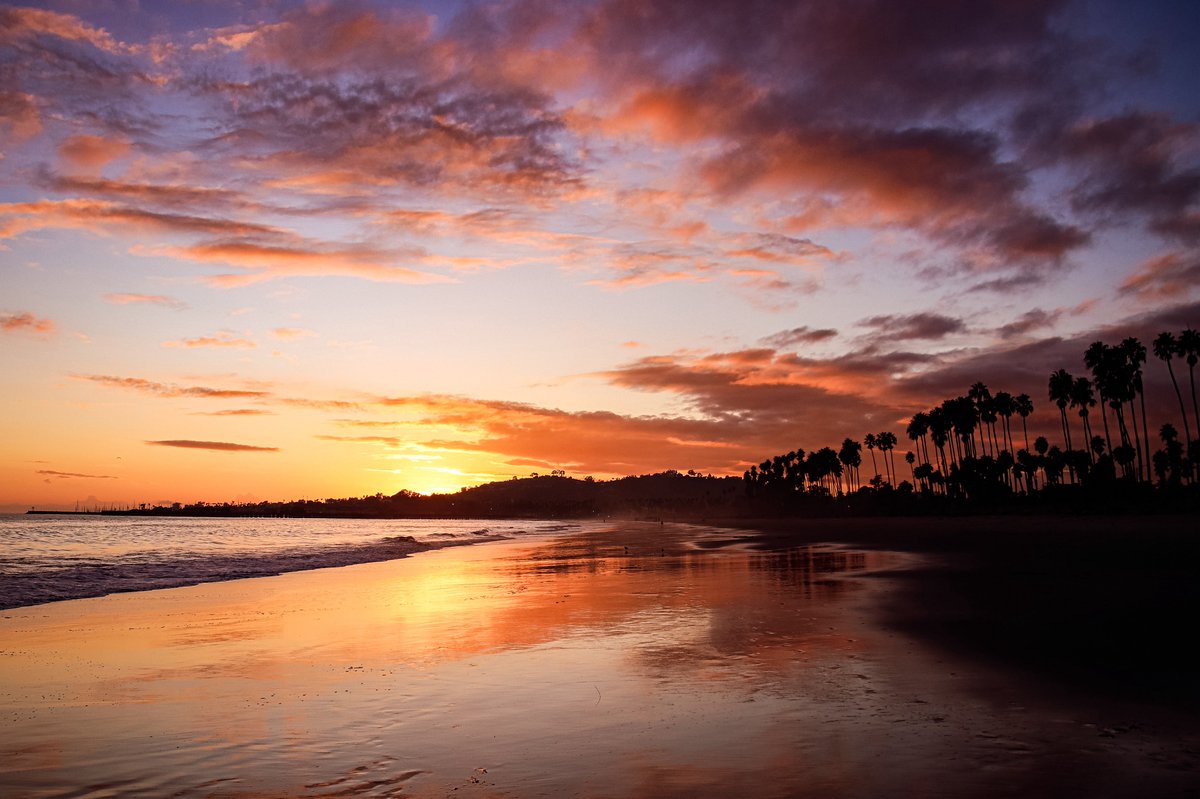 AdmiredArt tweet media