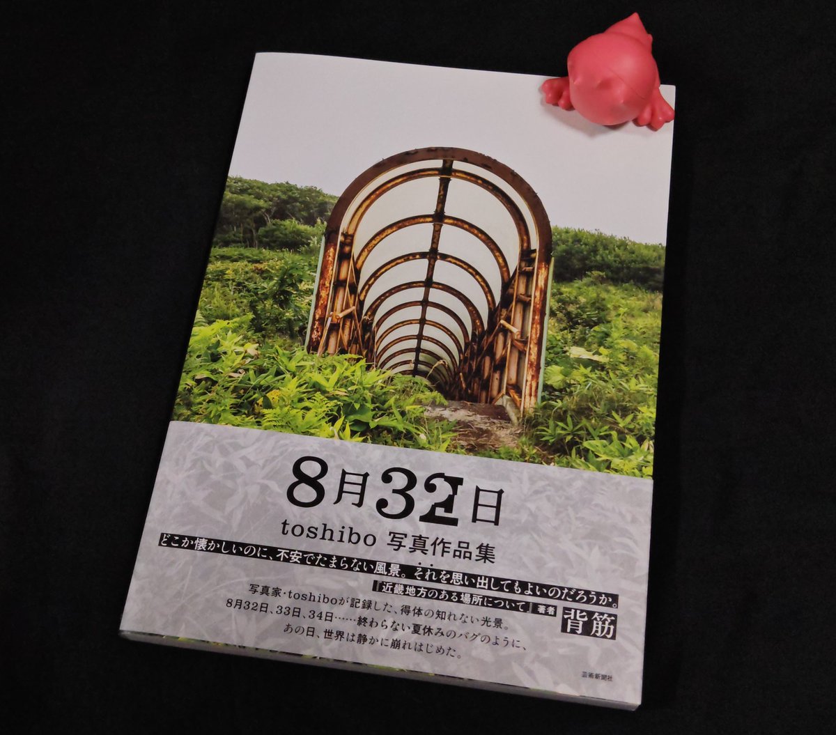 美術名典  ２００６年度版 /芸術新聞社/芸術新聞社（単行本） 美術名典 2006年度版 /芸術新聞社/芸術新聞社（単行本