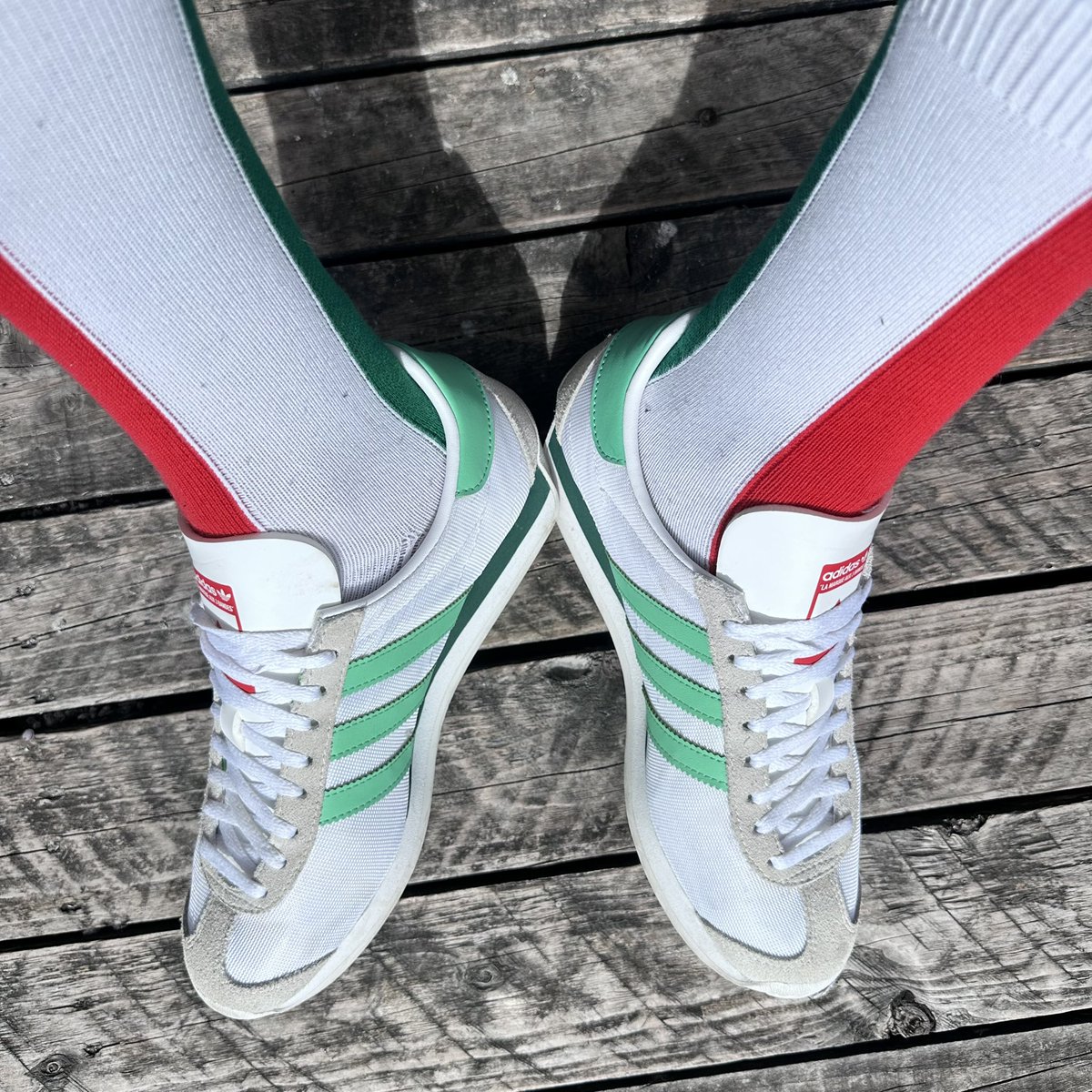 Hoodie1973's tweet photo. Cheeky little 
#socksoutsaturday 
@SockCouncil https://t.co/c1vYpgtdbQ