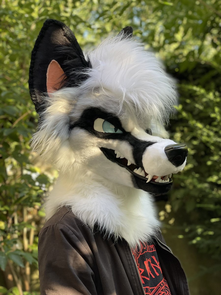 🌈✨TOUGHFLUFF✨🌈 tweet media