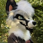 Photo by 🌈✨TOUGHFLUFF✨🌈 (@T0UGHFLUFF)