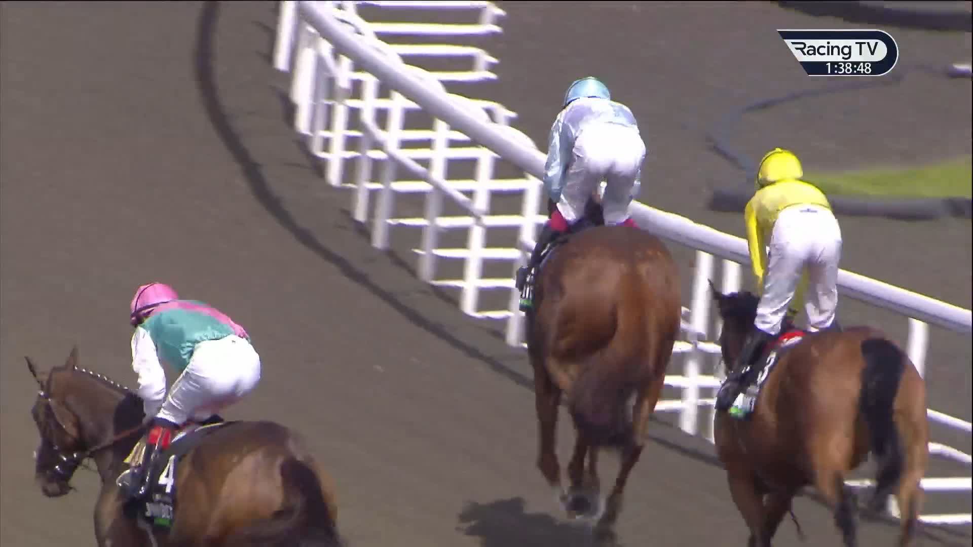 日刊スポーツ競馬ページ　2023年1〜8月　46枚 極ウマ】日刊スポーツ競馬公式 (@goku_uma) / X