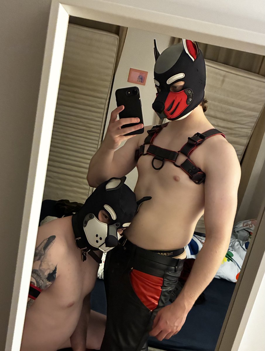 PupJJ 👊 tweet media