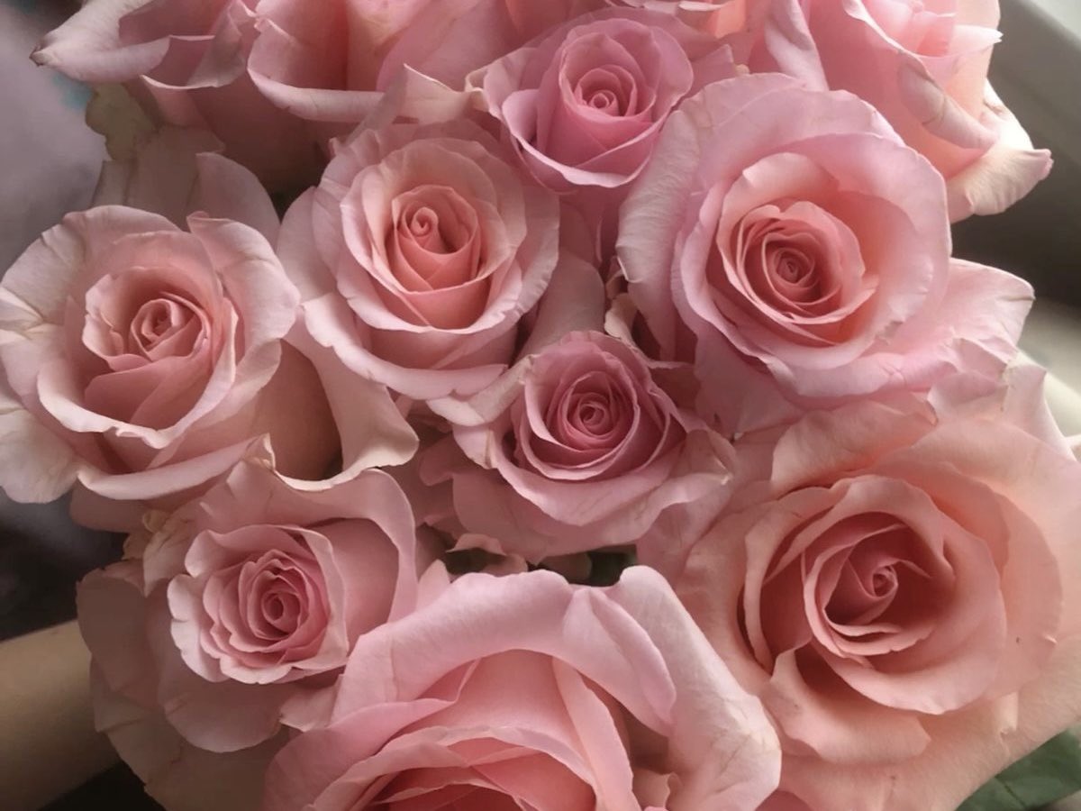 anthony ༯ (@freakztella) on Twitter photo 