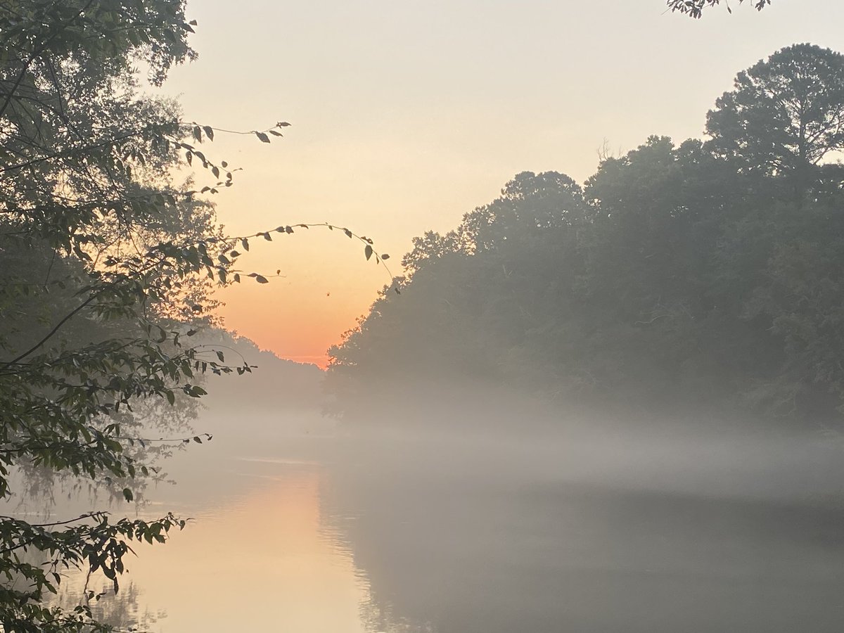 Aaron Lawrence tweet media