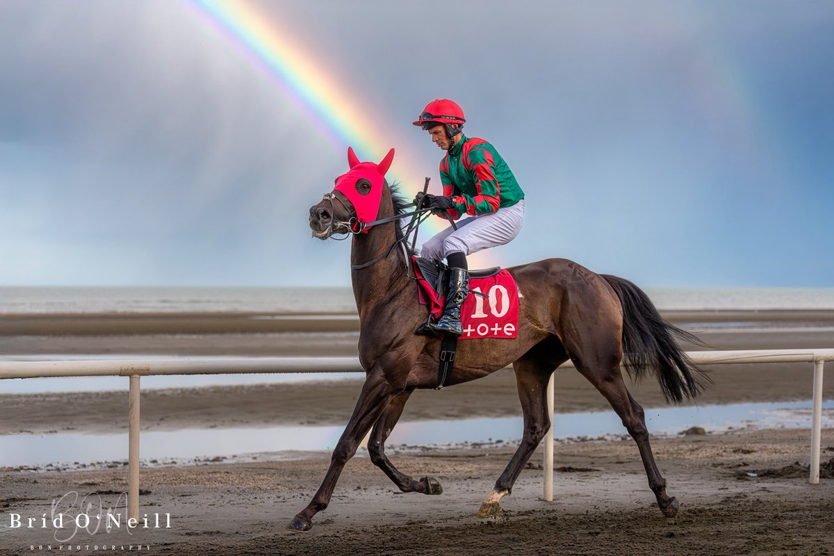 NeillBrid's tweet image. Here comes Pandion Power and Ferrybank 🐎 trotting down to the stalls for the start of the race. 

This was race 3 and the heavy rain and sunshine produced some fantastic light and rainbows 🌈 as a backdrop 

#rainbow #laytownraces #laytown #laytownbeach #BONPhotography