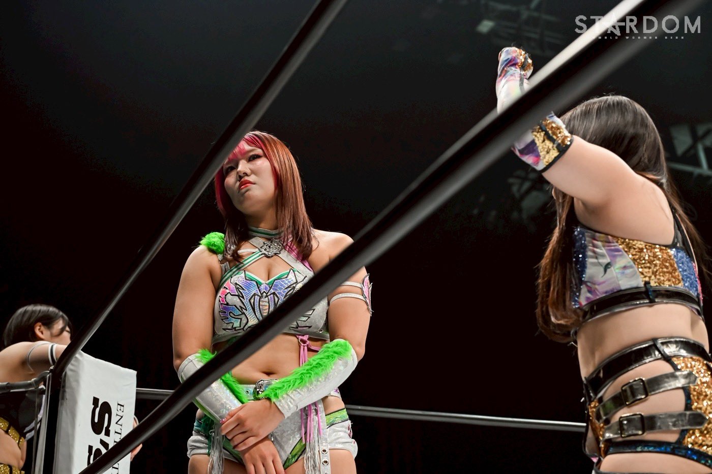 コグマです！ コグマ🐻スターダム (@kogumastardom) / X