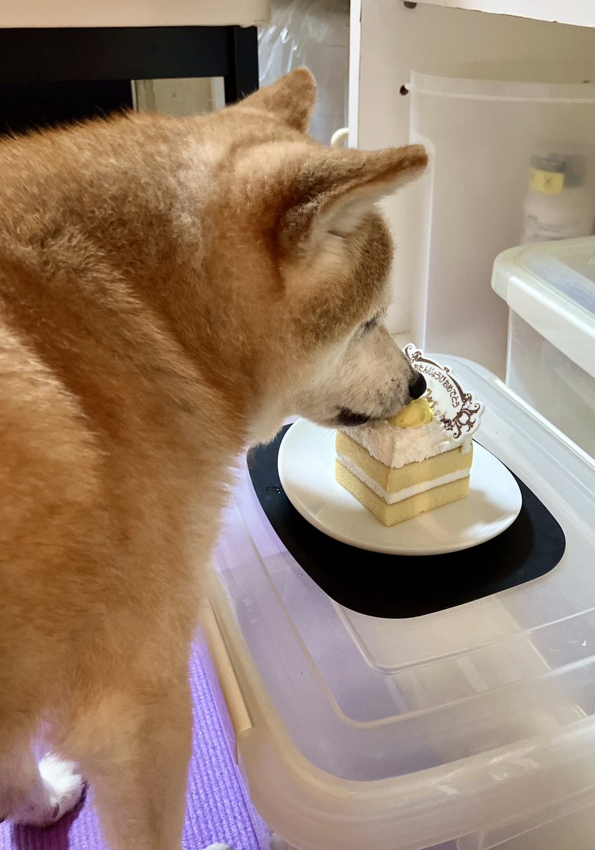 ママが誕生日ケーキ買ってきてくれた😍