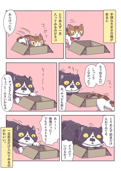 たろさん 挑戦者 | あやたろす@ニンドリ連載中 さんのマンガ | ツイコミ(仮)