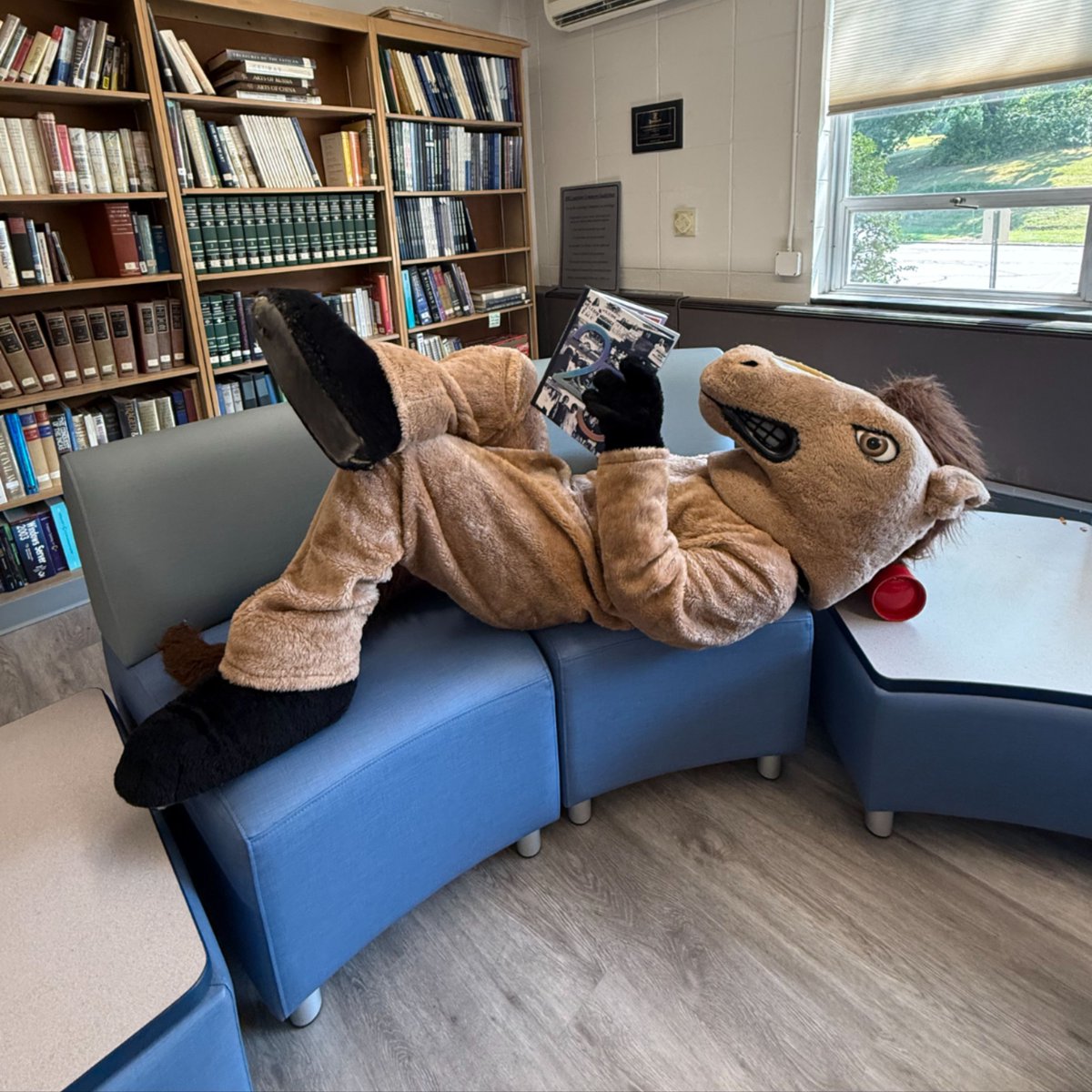 Happy National Read a Book Day! Our very own Mustang is getting in on the fun and catching up on some light reading—the yearbook! What's at the top of your reading list today? #IHSAcademics #ReadABookDay #WhatIsYourFav