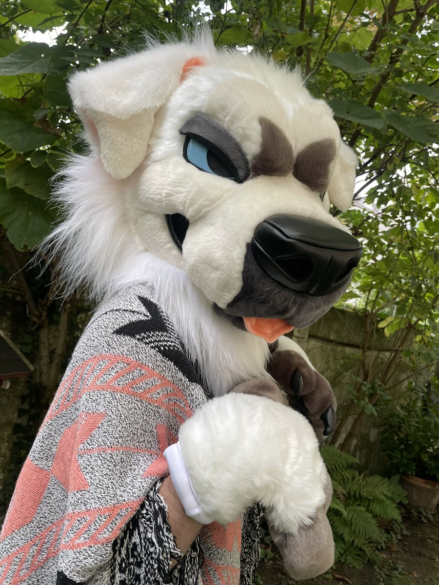 🌈✨TOUGHFLUFF✨🌈 tweet media