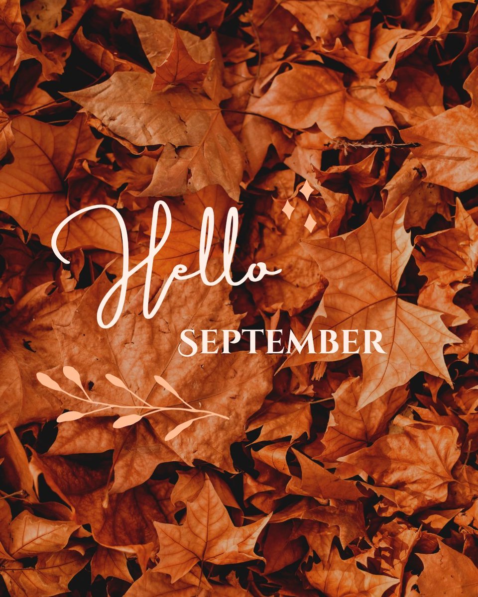 AmandaJGreene1's tweet image. 🍂 Hello, September! Fall is in the air—or at least “fake fall” is here for now. 
What about you? 📚 What are your fall hopefuls—the books you’re planning to read before the holidays sweep in?
#HelloSeptember #FallReading #BookLover #CozyReads #FallVibes #BookishLife #AmReading