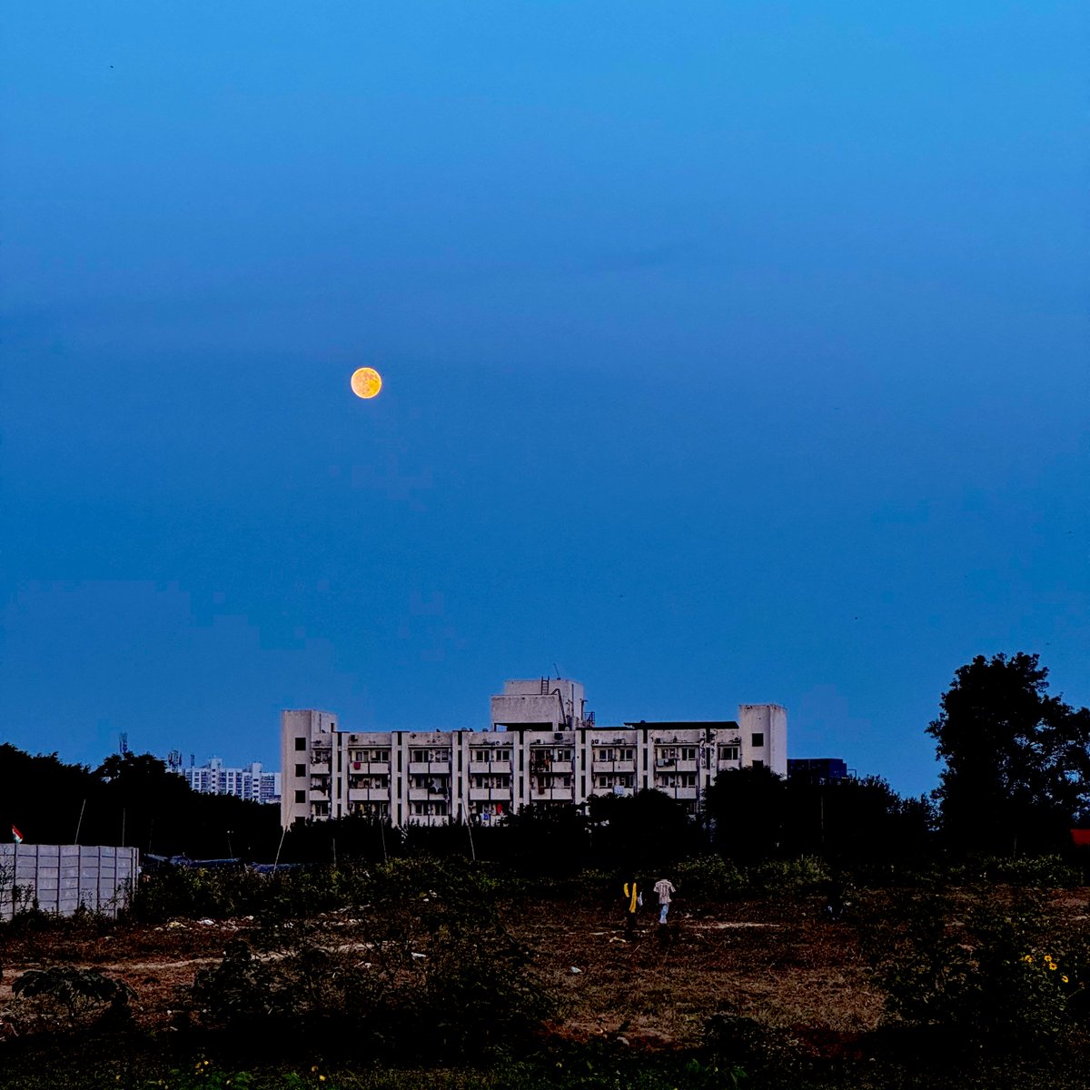indian_pitta's tweet image. Share your Moon Photographs
