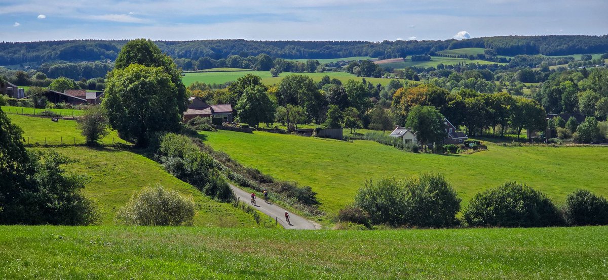 marcelbar8's tweet photo. Maak alweer een prachtige wandeling door @magnifiekZL. Passeerde tot nu toe o.a. Eperheide, Kosberg, Schweiberg, Bommerig, Camerig en ben nu bij de Heimansgroeve bij de Geul. Het is heerlijk wandelweer.
F1 #Epen
F2 #Eperheide - Wijndomein Steenberg
F3 #Camerig
F4 #Bommerig https://t.co/loPVVG8Dz8