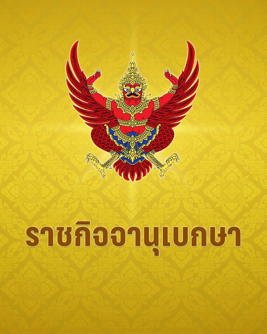 PPTV HD 36 tweet media