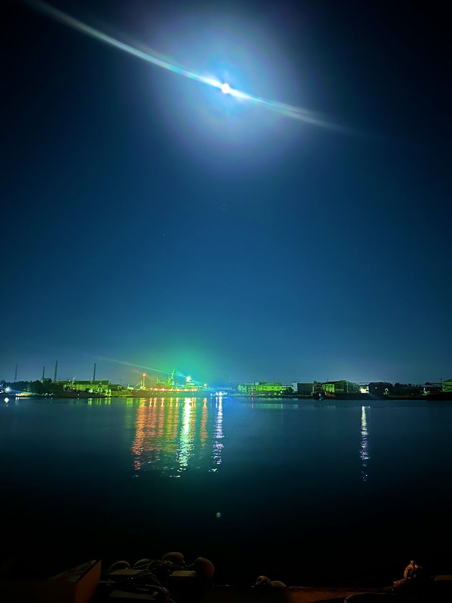 港はいいですなー