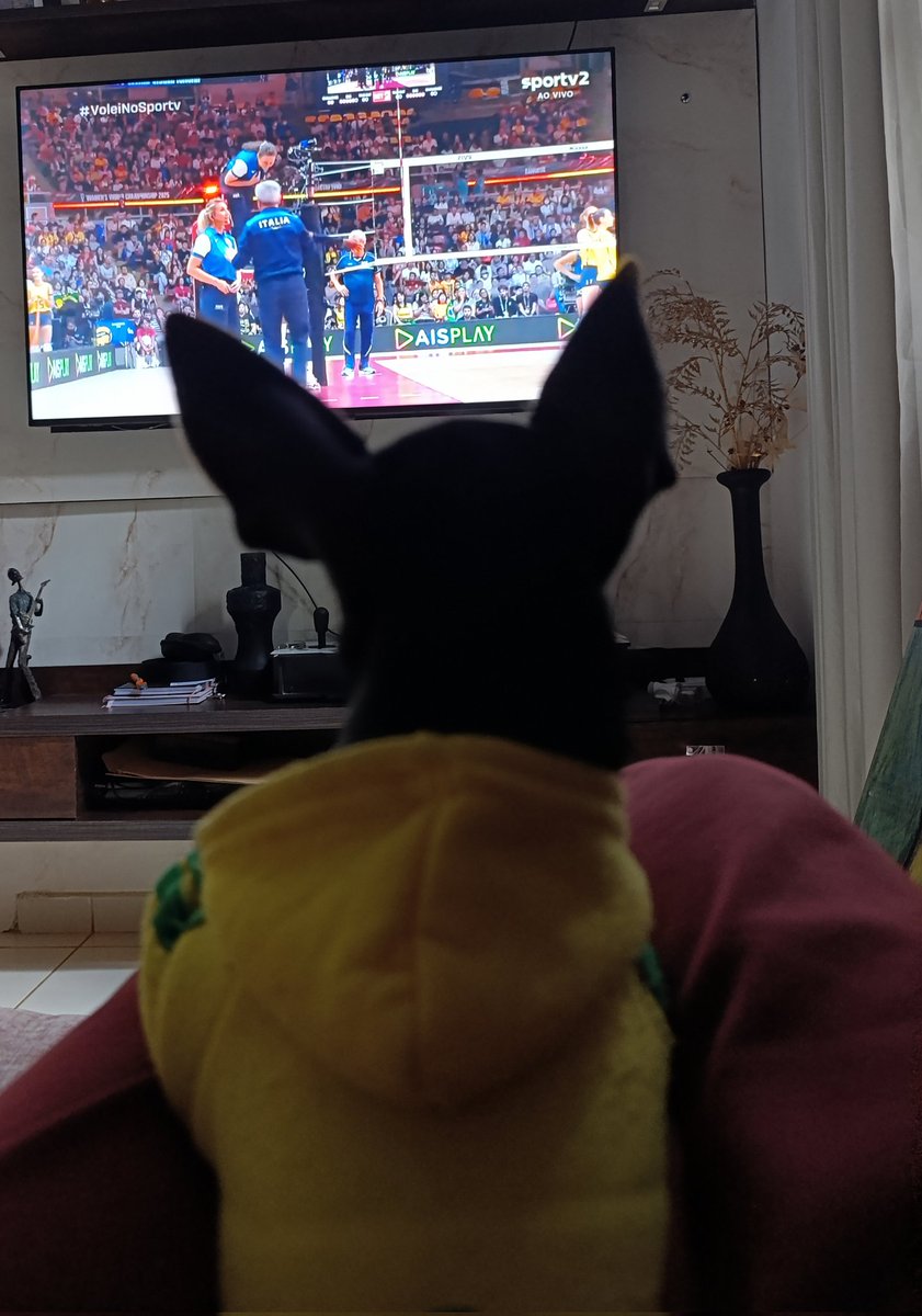 stellacult's tweet photo. Somos todos Brasil 🇧🇷
#VoleiNoSporTV https://t.co/27uYrDsLfg