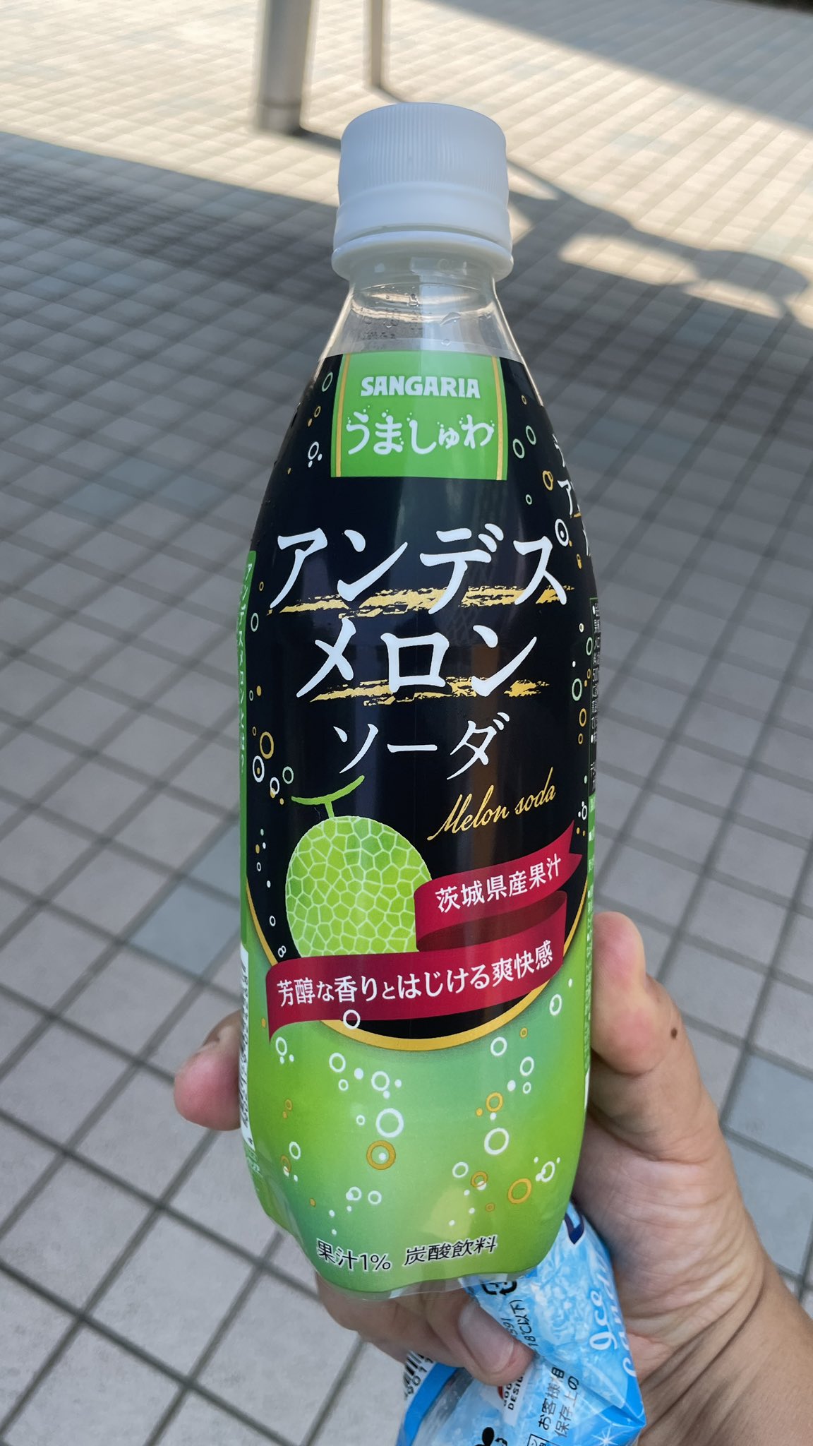 クリームソーダ クリームソーダ クリームソーダ CS NEW MUSK CREAM SODA