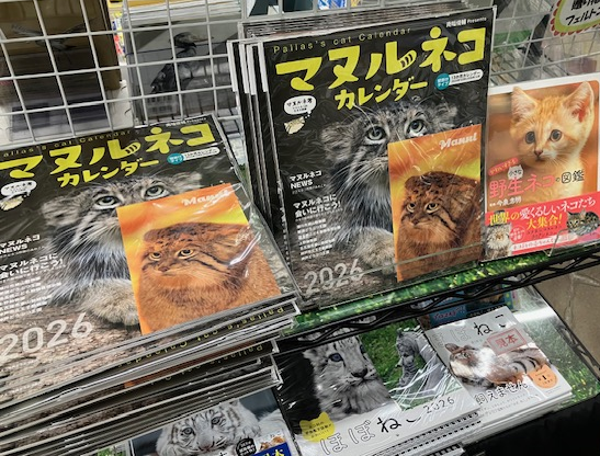 4F】📢お知らせ📢 『マヌルネコカレンダー2026』（辰巳出版） 特典