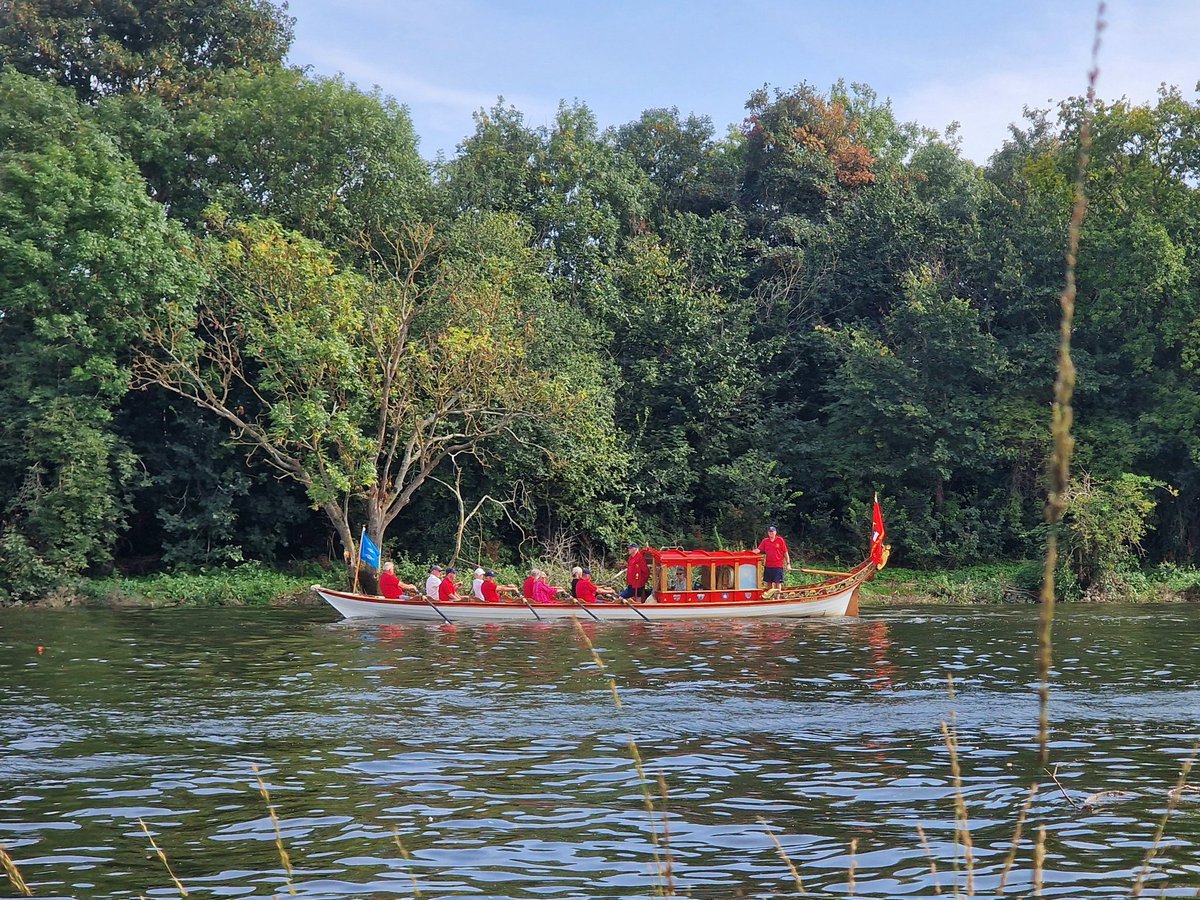 CaptainQuack tweet media