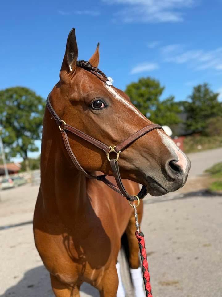 Redo för en fin insats. Kör vi Charlie ⭐️