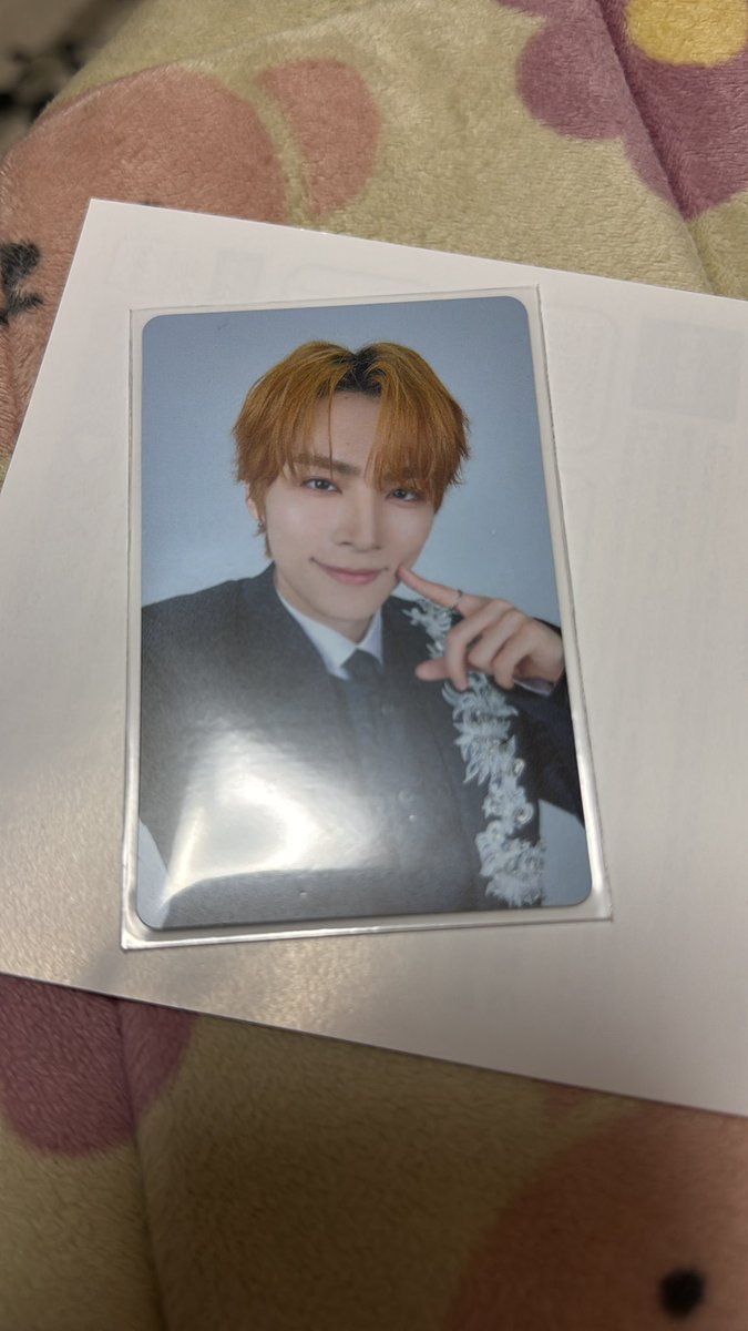 へち🐻 tweet media