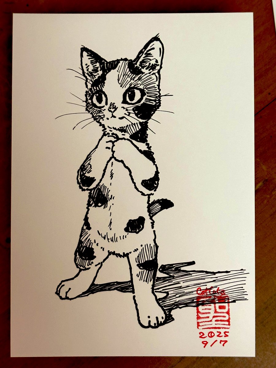 ご購入の方に先着で猫サインイラストつけますねー 