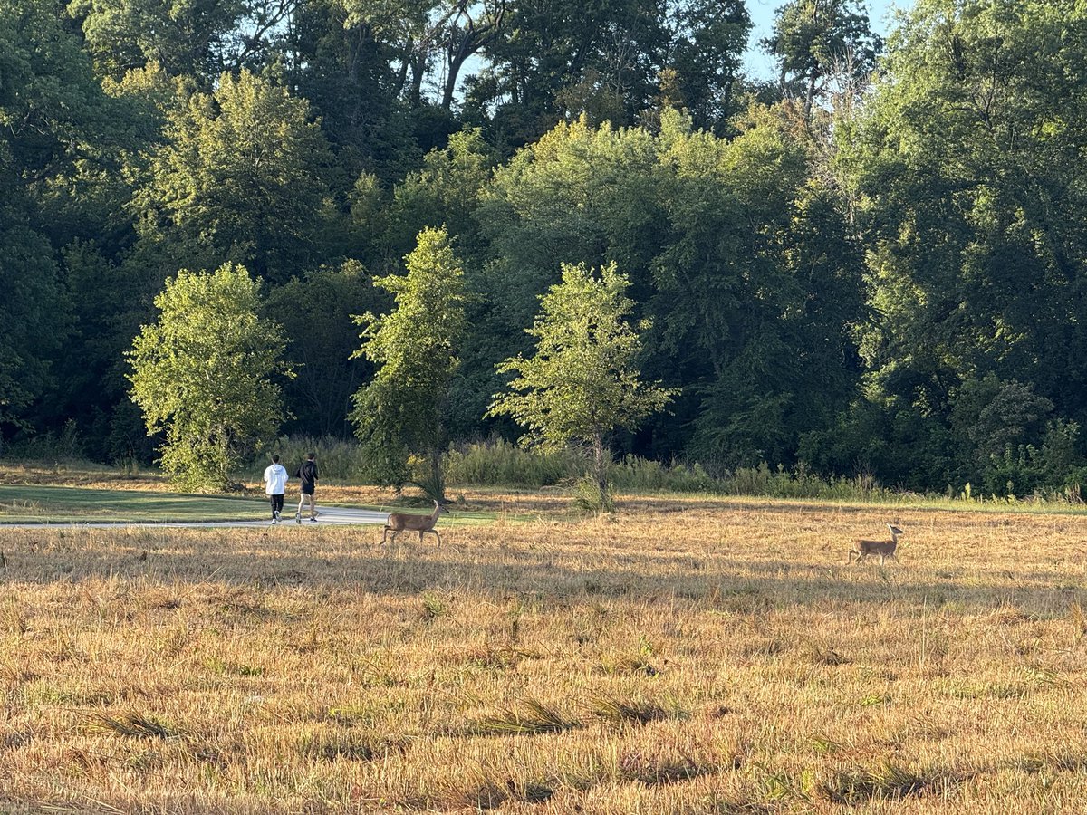 Saturday Morning Long Run. Put a bow on Week Four. 

#CCAXC