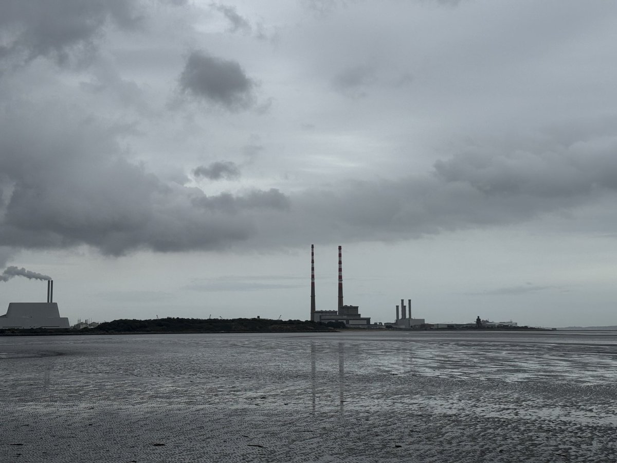 Suzanne Indja tweet media