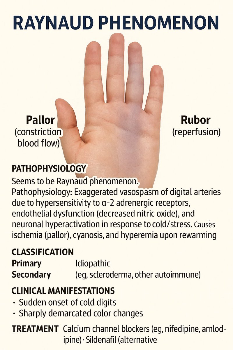 Raynaud Phenomenon 🤚 

✨✨✨