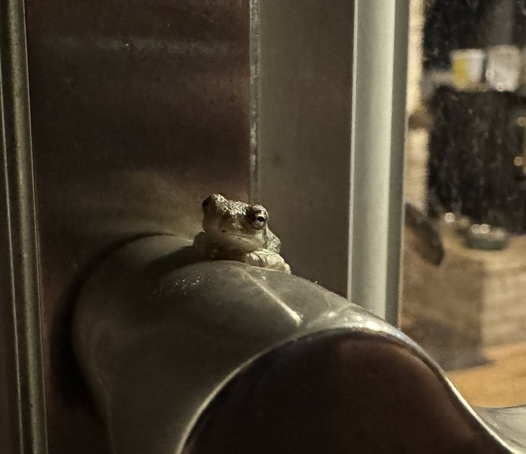 Theoretical Conspiracist tweet media