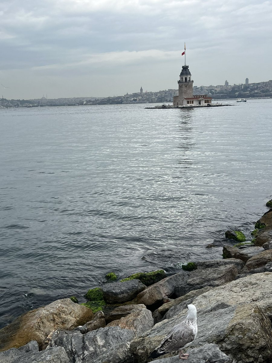 Kız Kulesi yağmur çay