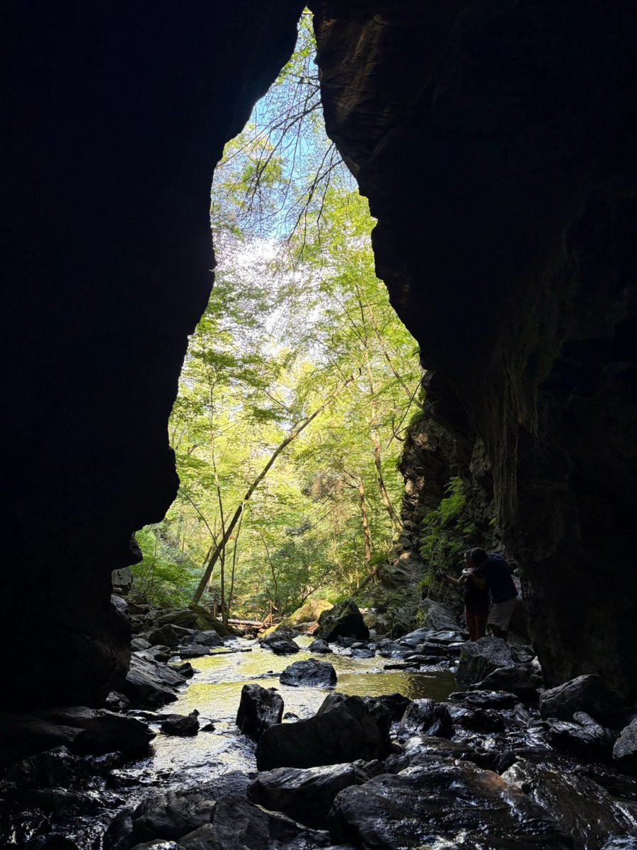 Apple🍎 tweet media