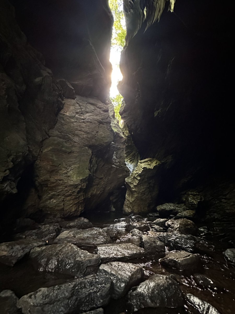 Apple🍎 tweet media