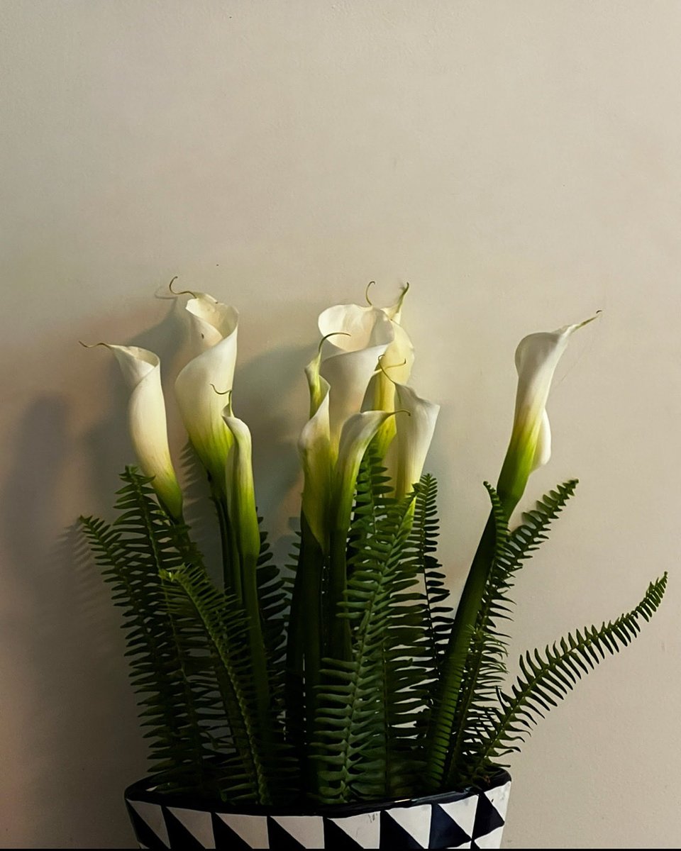 César Moheno (@cesar_moheno) on Twitter photo 