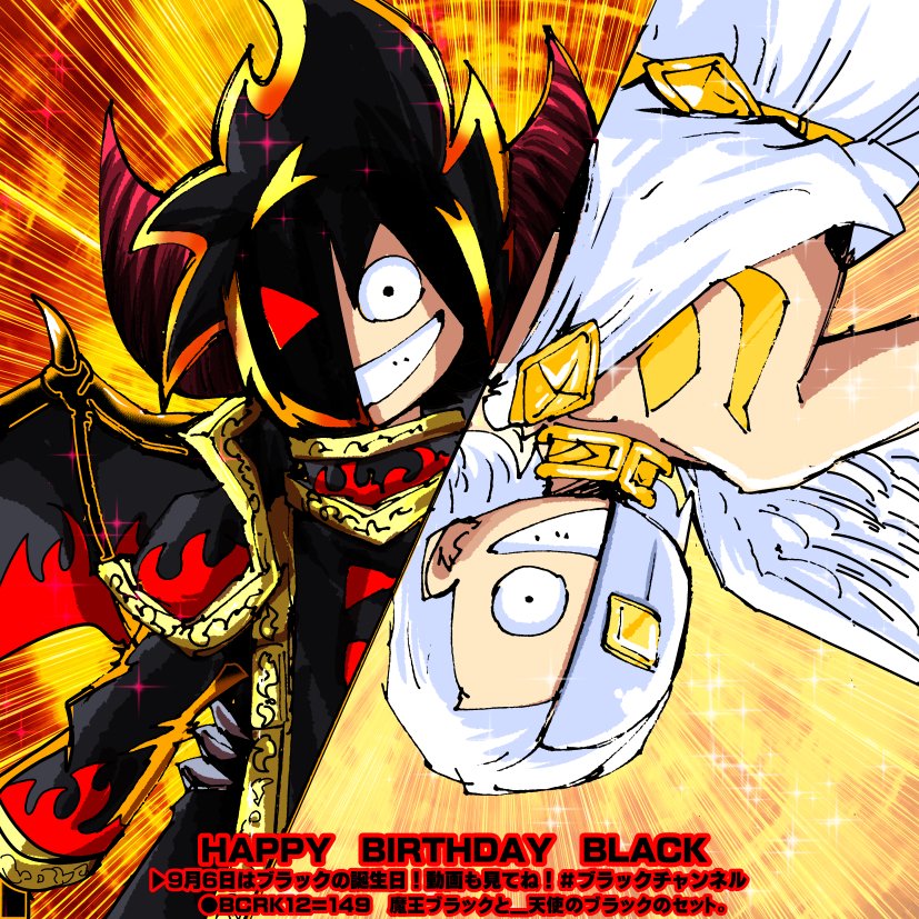 さとっち様 限定カラー】【G2】SX 300 WH LIMITED EDITION ZX-6RにNinja誕生40周年を