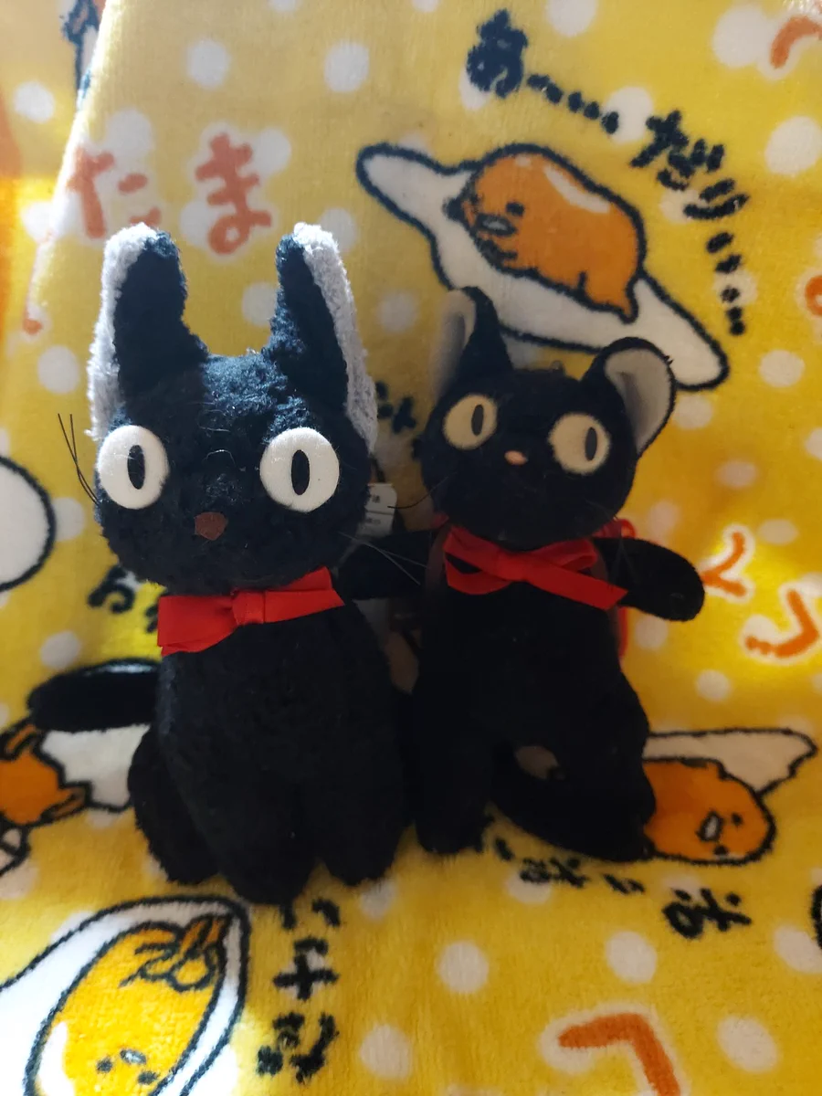 ぢゅの🐈 on X: 