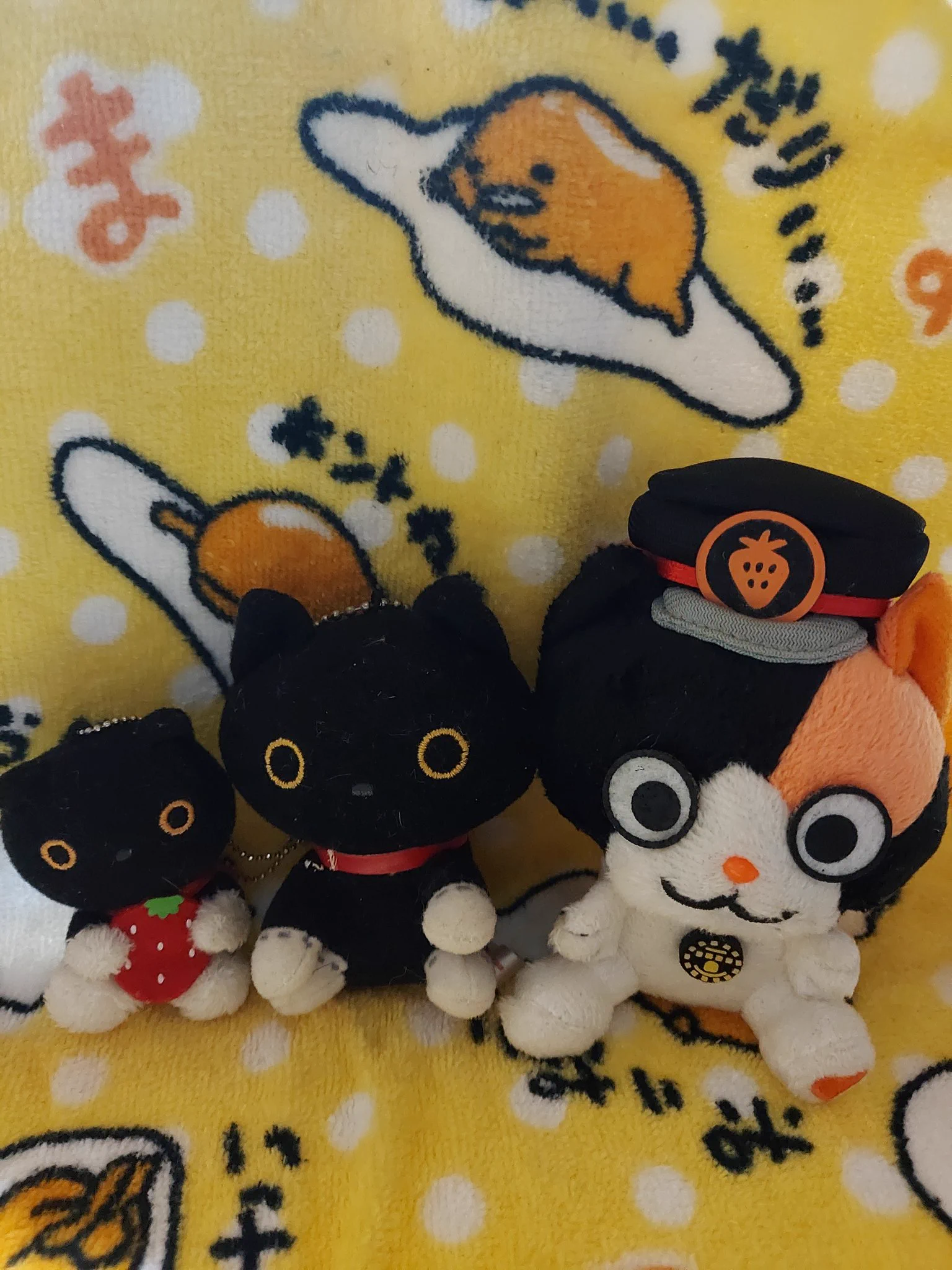 にゃんちっち 黒猫 ぢゅの🐈 on X: 