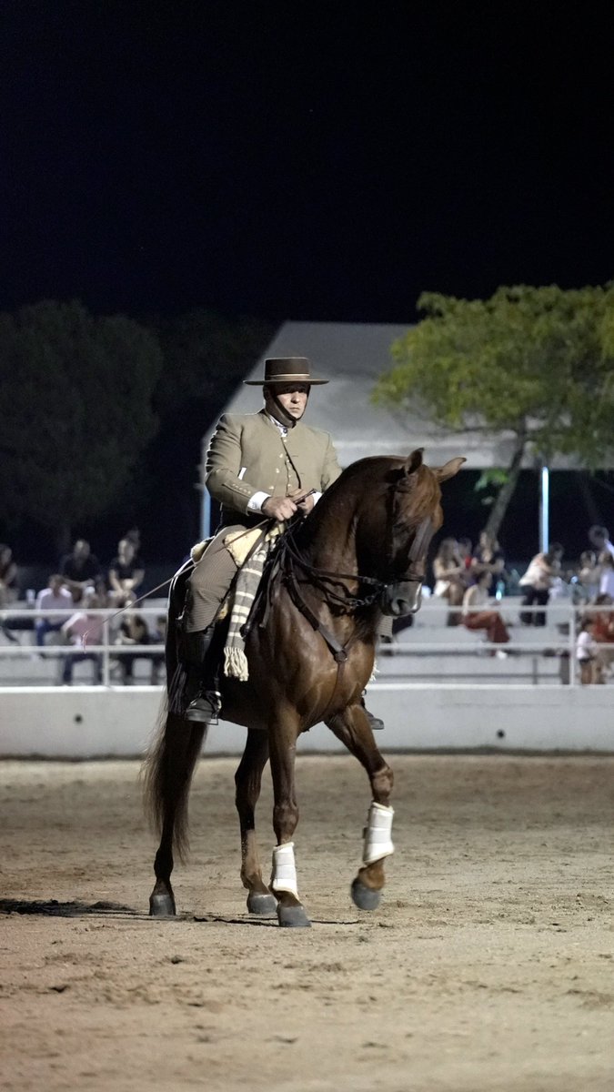 📸 EXHIBICIÓN ECUESTRE

Os dejamos algunas imágenes de la exhibición ecuestre de ayer en Ecuestre Torrejoncillo, donde la pasión por el caballo y la destreza de los jinetes se unieron al arte del flamenco para regalarnos un espectáculo inolvidable.

📲 #EcuestreTorrejoncillo2025