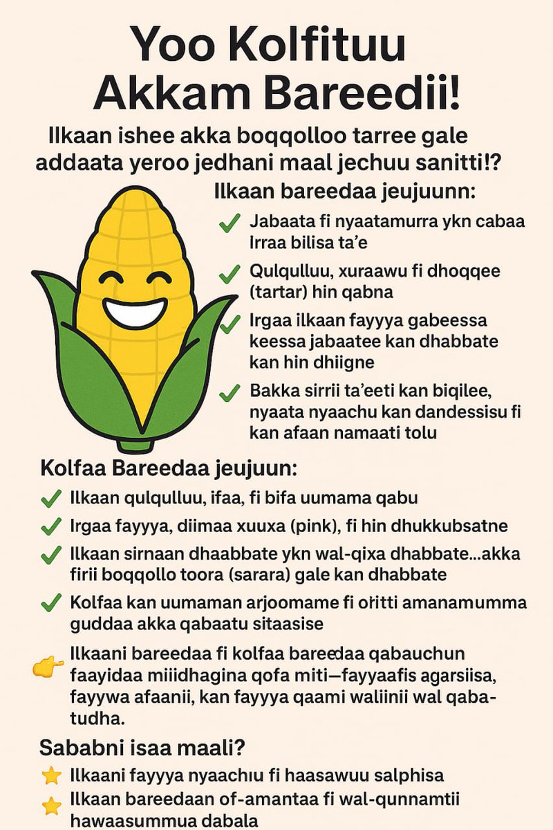 kenasaayele's tweet photo. #17 let share some oral health tips
#Dentist #drabreham #addisababa https://t.co/SksWOS6di8