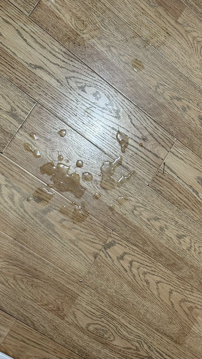 刚拖的地🙂
我和你们这群牛拼了💦
#取精 #农牛