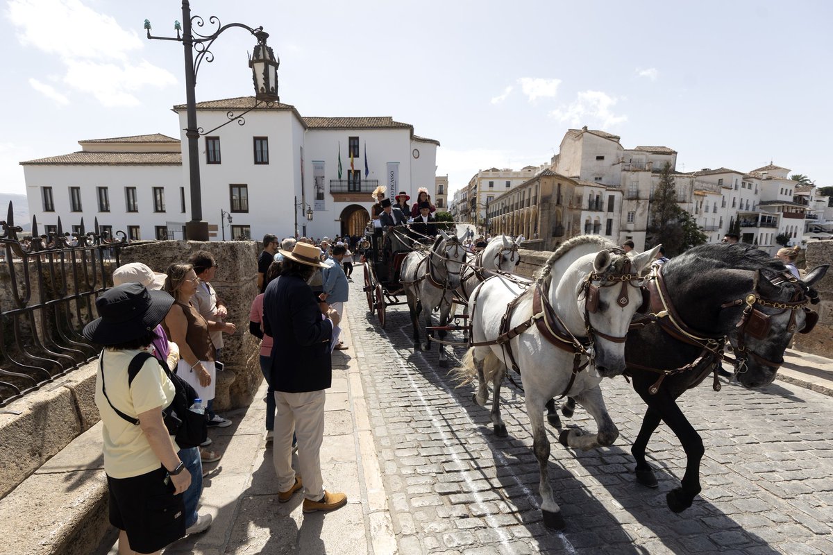 Ambiente en el primer Concurso Internacional de Enganches de Tradición (CIAT) 'Ciudad de Ronda'. Reportaje para <a href="/EFEnoticias/">EFE Noticias</a> 📷 EFE/Daniel Pérez