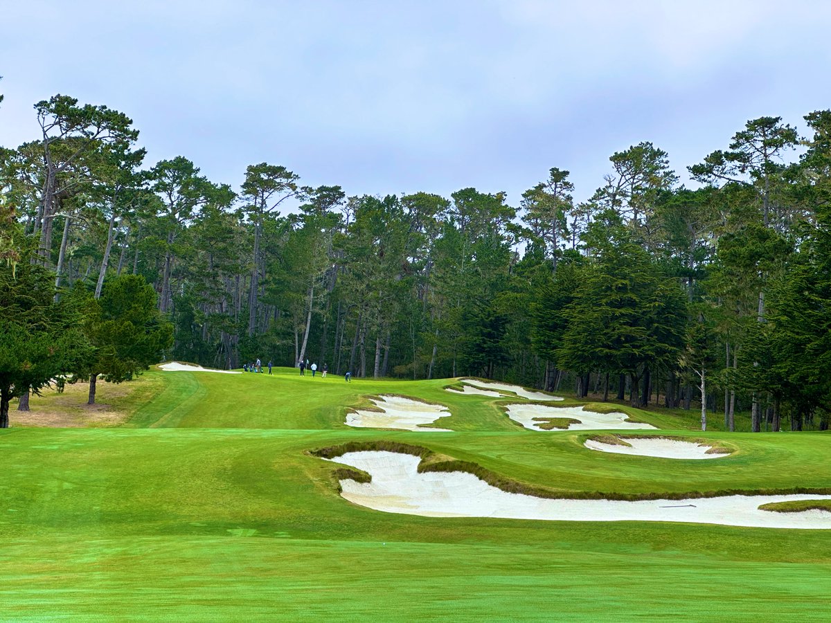 Rick Golfs tweet media