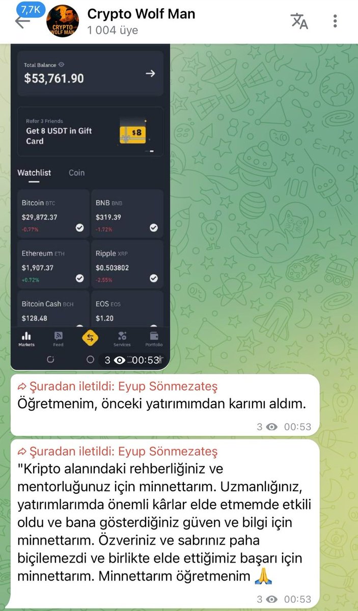 Crypto Wolf Man (@CryptoWolfManTR) / Posts / X