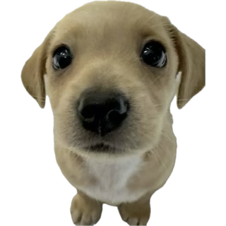 seniahmilo's tweet photo. what is happeninf https://t.co/TyuXG4gb1N