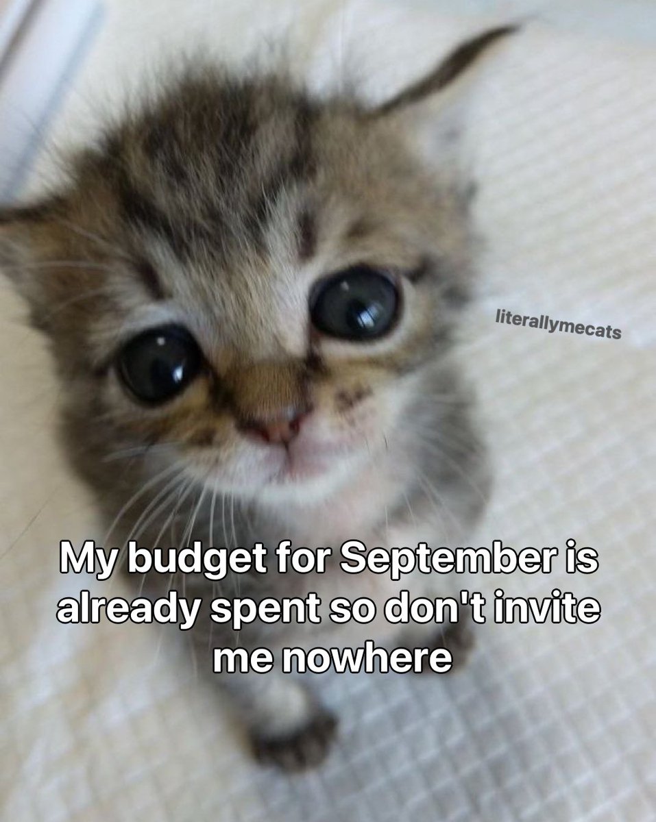 literallymecats's tweet photo. https://t.co/gjP9cs5Z6P