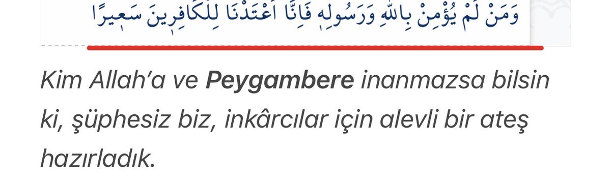 Salih hocamızın bu yazısı bana Fetih süresi 13.ayeti hatırlattı: