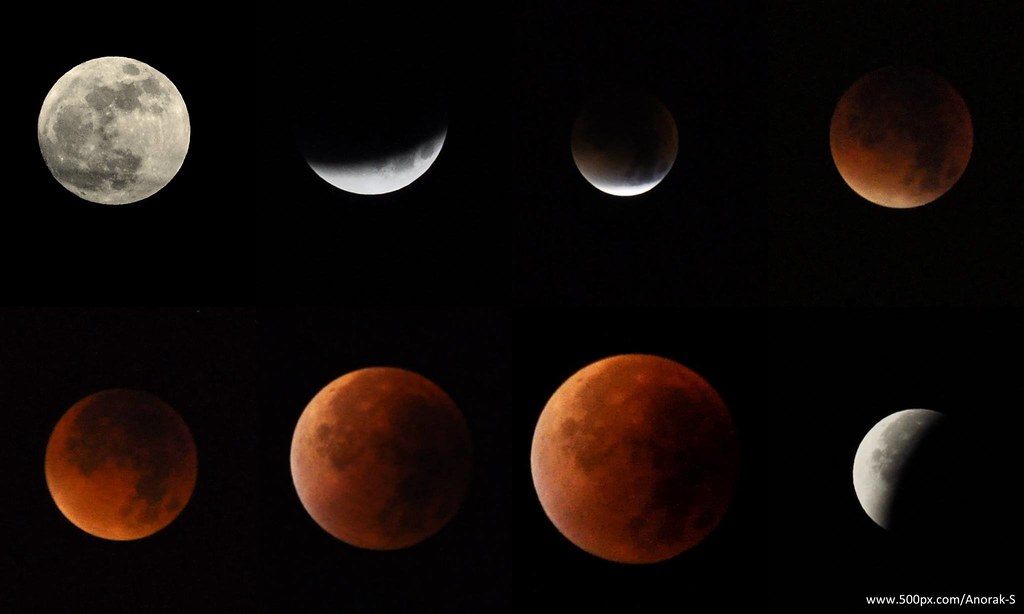 Anyone's looking forward to tomorrow's full lunar eclipse aka "Blood Moon"?

Here's the one I captured, 10 years ago in September 2015!! 

#BloodMoon
#blutmond 
#LunarEclipse2025
#Mond
#moonphotography 
#moon
#nikonphotography 
#nikonphoto
#LunarEclipse