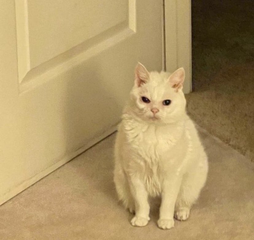 browserpplub's tweet image. -ağladın mı sen 

+ne zaman..